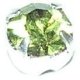 Chaton engaste ss20 olivine Preciosa. Bolsa 5 und