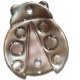 mariquita 20x17mm